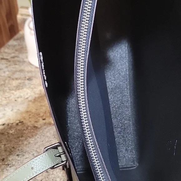 COACH NWOT Pebble Leather Mollie Large Tote Bag Pale Pistachio Green - Picture 6 of 7